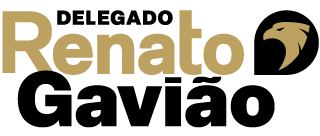 Delegado Renato Gavião